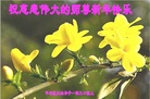 Published on 12/31/2016 ���ֹ�,��½�󷨵��ӹ�ףʦ�������(26��)