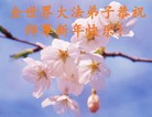 Published on 12/31/2016 ���ֹ�,��½�󷨵��ӹ�ףʦ�������(26��)