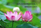 Published on 12/31/2016 ���ֹ�,��½�󷨵��ӹ�ףʦ�������(26��)
