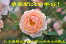 Published on 12/31/2016 ���ֹ�,��½�󷨵��ӹ�ףʦ�������(26��)