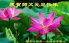 Published on 12/30/2016 ���ֹ�,��½�󷨵��ӹ�ףʦ�������(29��)