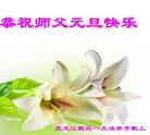 Published on 12/30/2016 ���ֹ�,��½�󷨵��ӹ�ףʦ�������(29��)