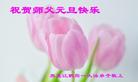 Published on 12/30/2016 ���ֹ�,��½�󷨵��ӹ�ףʦ�������(29��)