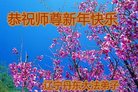 Published on 12/31/2016 ���ֹ�,��½�󷨵��ӹ�ףʦ�������(41��)