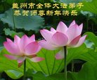 Published on 12/30/2016 ���ֹ�,��½�󷨵��ӹ�ףʦ�������(37��)