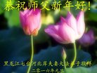 Published on 12/30/2016 ���ֹ�,��½�󷨵��ӹ�ףʦ�������(37��)