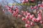 Published on 12/30/2016 ���ֹ�,��½�󷨵��ӹ�ףʦ�������(35��)