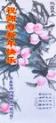 Published on 12/30/2016 ���ֹ�,��½�󷨵��ӹ�ףʦ�������(35��)