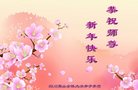 Published on 12/30/2016 ���ֹ�,��½�󷨵��ӹ�ףʦ�������(35��)