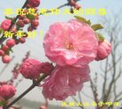 Published on 12/30/2016 ���ֹ�,��½�󷨵��ӹ�ףʦ�������(35��)
