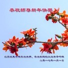 Published on 12/31/2016 ���ֹ�,�Ƿ���Ѻ�󷨵��ӹ�ףʦ�������(22��)