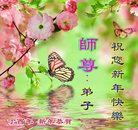 Published on 12/30/2016 ���ֹ�,��½�󷨵��ӹ�ףʦ�������(27��)