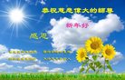 Published on 12/30/2016 ���ֹ�,��½�󷨵��ӹ�ףʦ�������(27��)