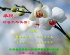 Published on 12/30/2016 ���ֹ�,��½�󷨵��ӹ�ףʦ�������(27��)