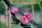 Published on 12/30/2016 ���ֹ�,��½�󷨵��ӹ�ףʦ�������(27��)