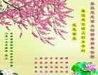 Published on 12/30/2016 ���ֹ�,��½�󷨵��ӹ�ףʦ�������(27��)