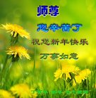 Published on 12/30/2016 ���ֹ�,��½�󷨵��ӹ�ףʦ�������(27��)