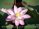 Published on 12/31/2016 ���ֹ�,��½���취˾�����������Ӵ󷨵��ӹ�ףʦ�������