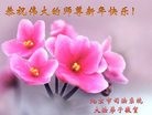 Published on 12/31/2016 ���ֹ�,��½���취˾�����������Ӵ󷨵��ӹ�ףʦ�������