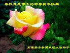 Published on 12/31/2016 ���ֹ�,��½�󷨵��ӹ�ףʦ�������(44��)