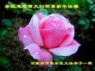Published on 12/31/2016 ���ֹ�,��½�󷨵��ӹ�ףʦ�������(44��)