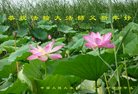 Published on 12/31/2016 ���ֹ�,��½�󷨵��ӹ�ףʦ�������(44��)
