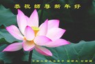 Published on 12/31/2016 ���ֹ�,��½�󷨵��ӹ�ףʦ�������(46��)