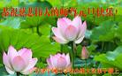 Published on 12/31/2016 ���ֹ�,��½�󷨵��ӹ�ףʦ�������(25��)