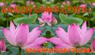 Published on 12/31/2016 ���ֹ�,��½�󷨵��ӹ�ףʦ�������(25��)