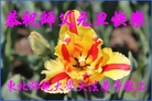 Published on 12/31/2016 ���ֹ�,��½�󷨵��ӹ�ףʦ�������(25��)