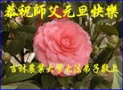 Published on 12/31/2016 ���ֹ�,��½�󷨵��ӹ�ףʦ�������(25��)