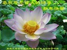 ֹ,󷨵ӹףʦ(29)
