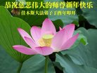 Published on 12/31/2016 ���ֹ�,��½�󷨵��ӹ�ףʦ�������(26��)