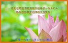 Published on 12/30/2016 ���ֹ�,��½�󷨵��ӹ�ףʦ�������(29��)
