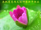 Published on 12/30/2016 ���ֹ�,��½�󷨵��ӹ�ףʦ�������(27��)