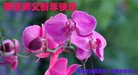 Published on 12/30/2016 ���ֹ�,��½�󷨵��ӹ�ףʦ�������(27��)