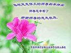 Published on 12/31/2016 ���ֹ�,��½�󷨵��ӹ�ףʦ�������(39��)