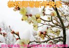 Published on 1/1/2017 ���ֹ�,��½�󷨵��ӹ�ףʦ�������(37��)