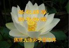 Published on 12/31/2016 ���ֹ�,��½�󷨵��ӹ�ףʦ�������(34��)