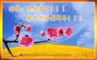 Published on 12/31/2016 ���ֹ�,��½�󷨵��ӹ�ףʦ�������(34��)