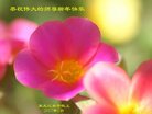 Published on 12/30/2016 ���ֹ�,��½�󷨵��ӹ�ףʦ�������(27��)