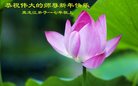 Published on 12/30/2016 ���ֹ�,��½�󷨵��ӹ�ףʦ�������(27��)