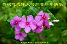 Published on 12/30/2016 ���ֹ�,��½�󷨵��ӹ�ףʦ�������(27��)