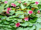Published on 12/30/2016 ���ֹ�,��½�󷨵��ӹ�ףʦ�������(27��)