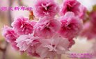 Published on 12/30/2016 ���ֹ�,��½�󷨵��ӹ�ףʦ�������(27��)