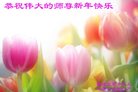 Published on 12/30/2016 ���ֹ�,��½�󷨵��ӹ�ףʦ�������(27��)