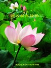 Published on 12/30/2016 ���ֹ�,��½�󷨵��ӹ�ףʦ�������(27��)