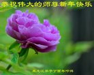 Published on 12/30/2016 ���ֹ�,��½�󷨵��ӹ�ףʦ�������(27��)