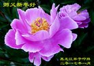 Published on 12/30/2016 ���ֹ�,��½�󷨵��ӹ�ףʦ�������(27��)