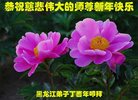 Published on 12/30/2016 ���ֹ�,��½�󷨵��ӹ�ףʦ�������(27��)